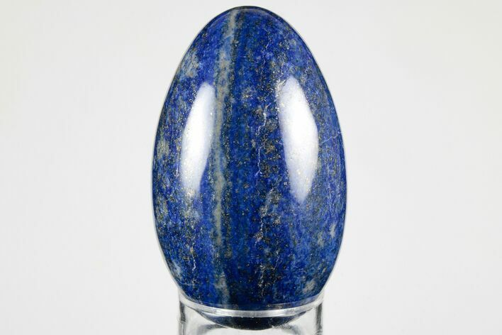 Polished Lapis Lazuli Egg - Pakistan #194513
